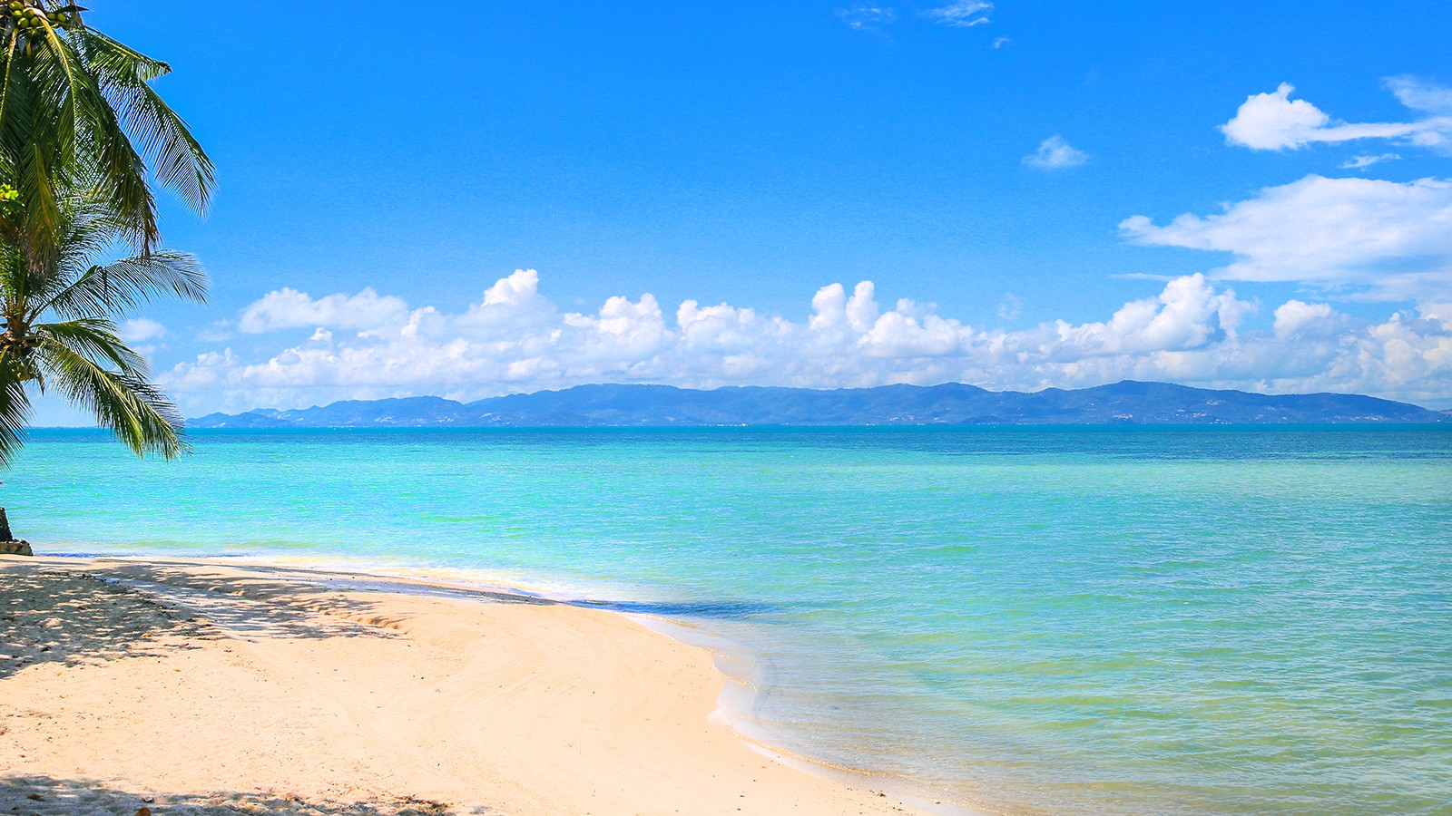 Milky Bay Resort