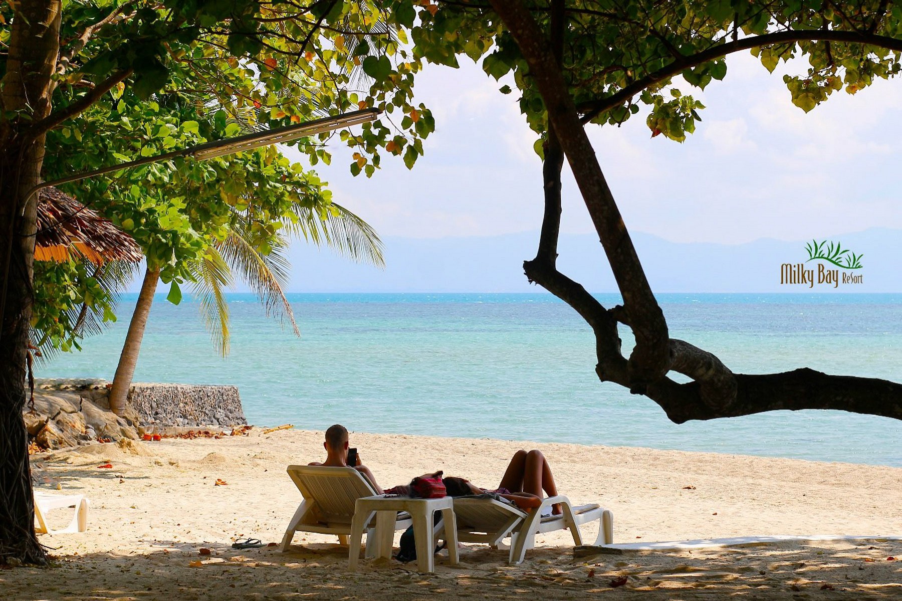 Beachfront Restaurant