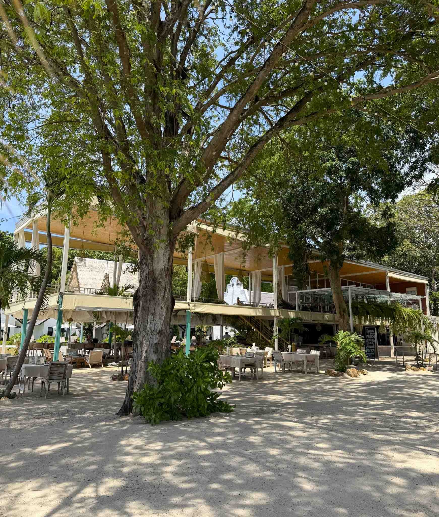 Beachfront Restaurant