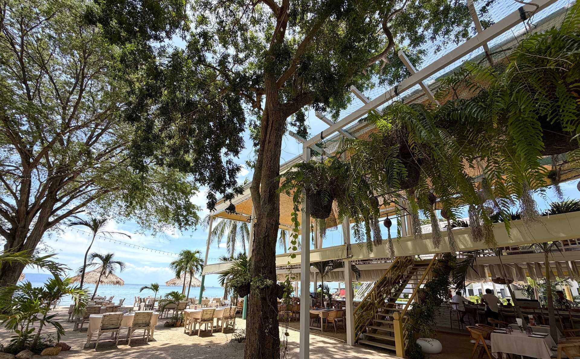 Milky Bay Resort