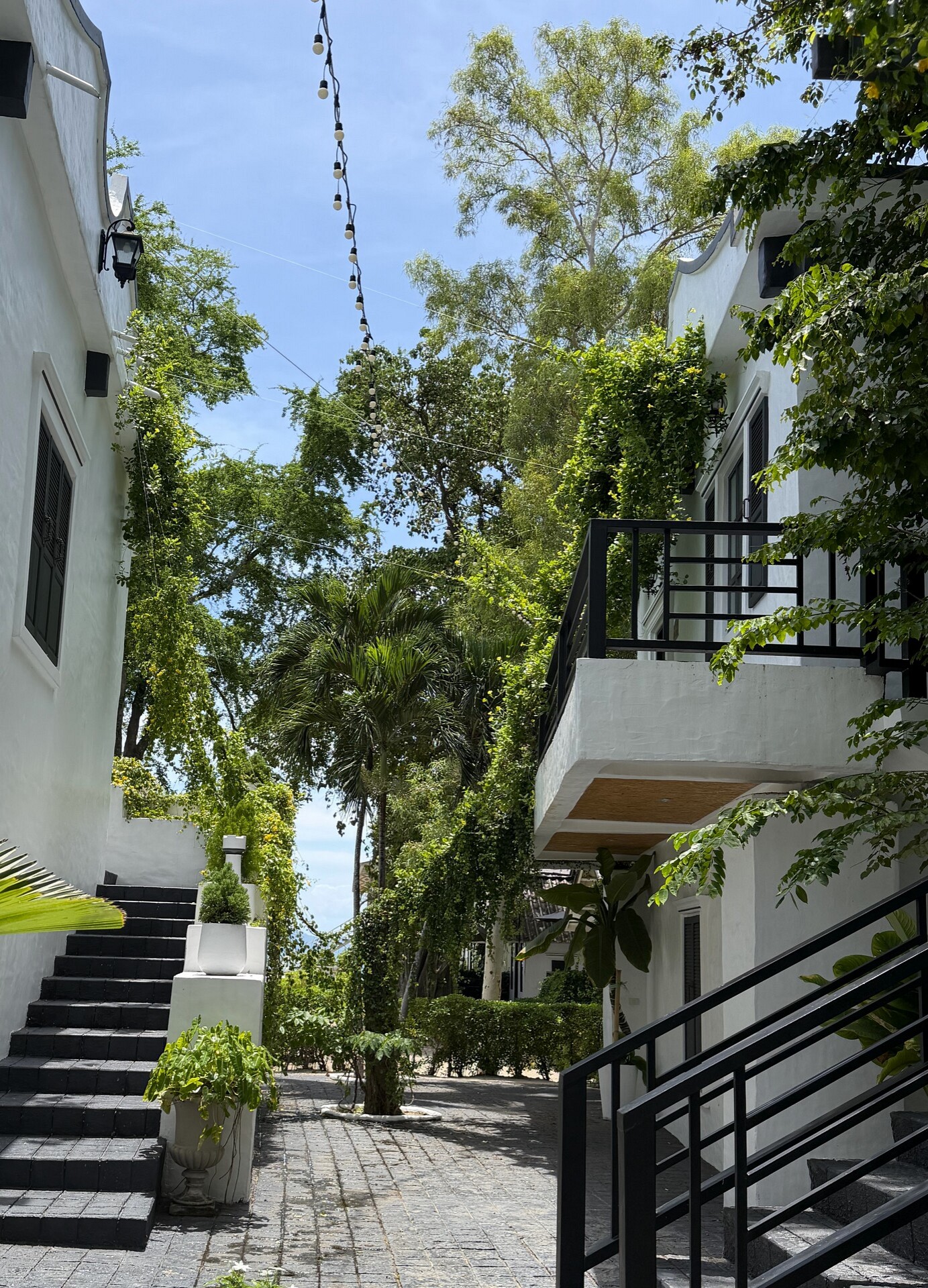 Milky Bay Resort
