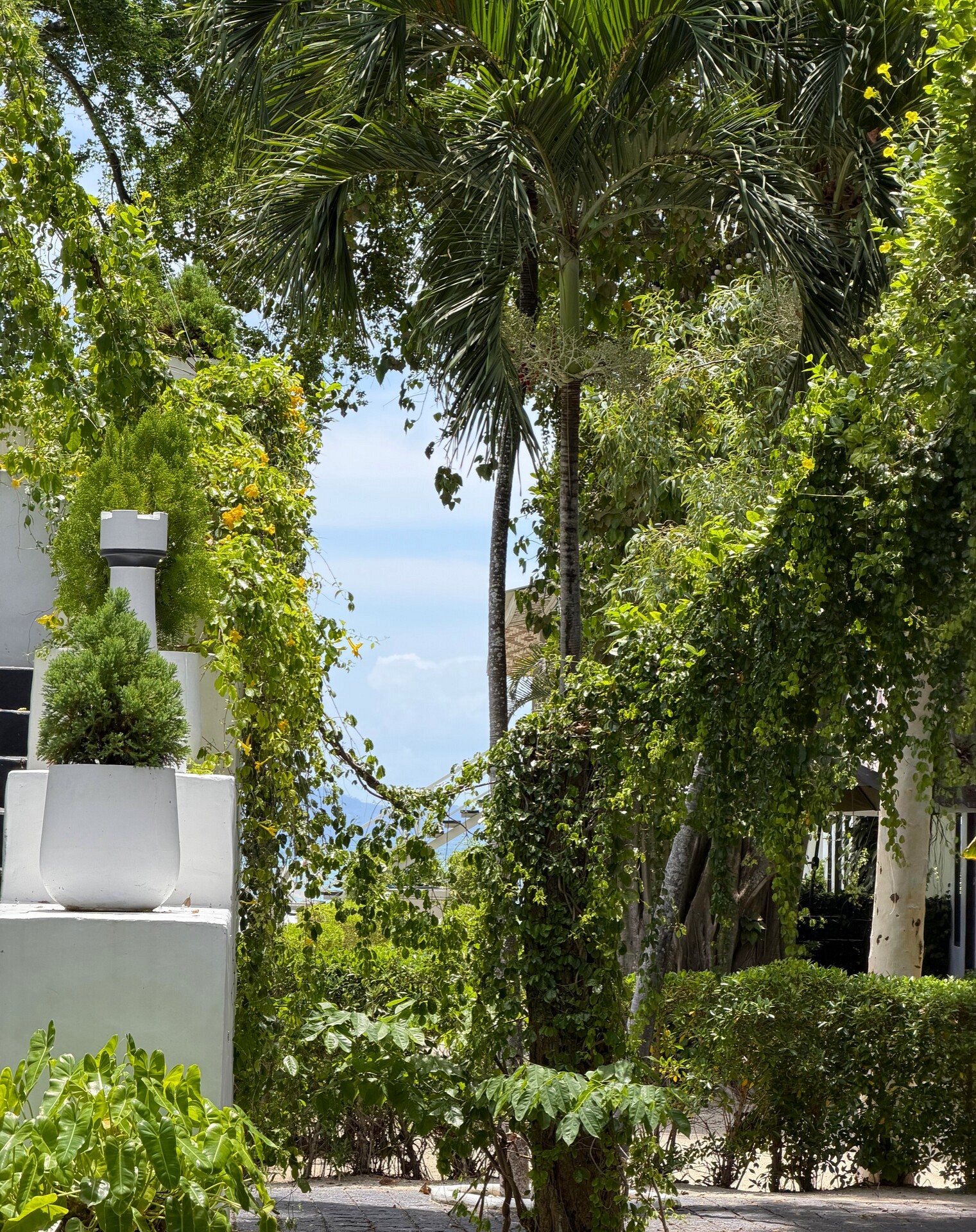 Milky Bay Resort